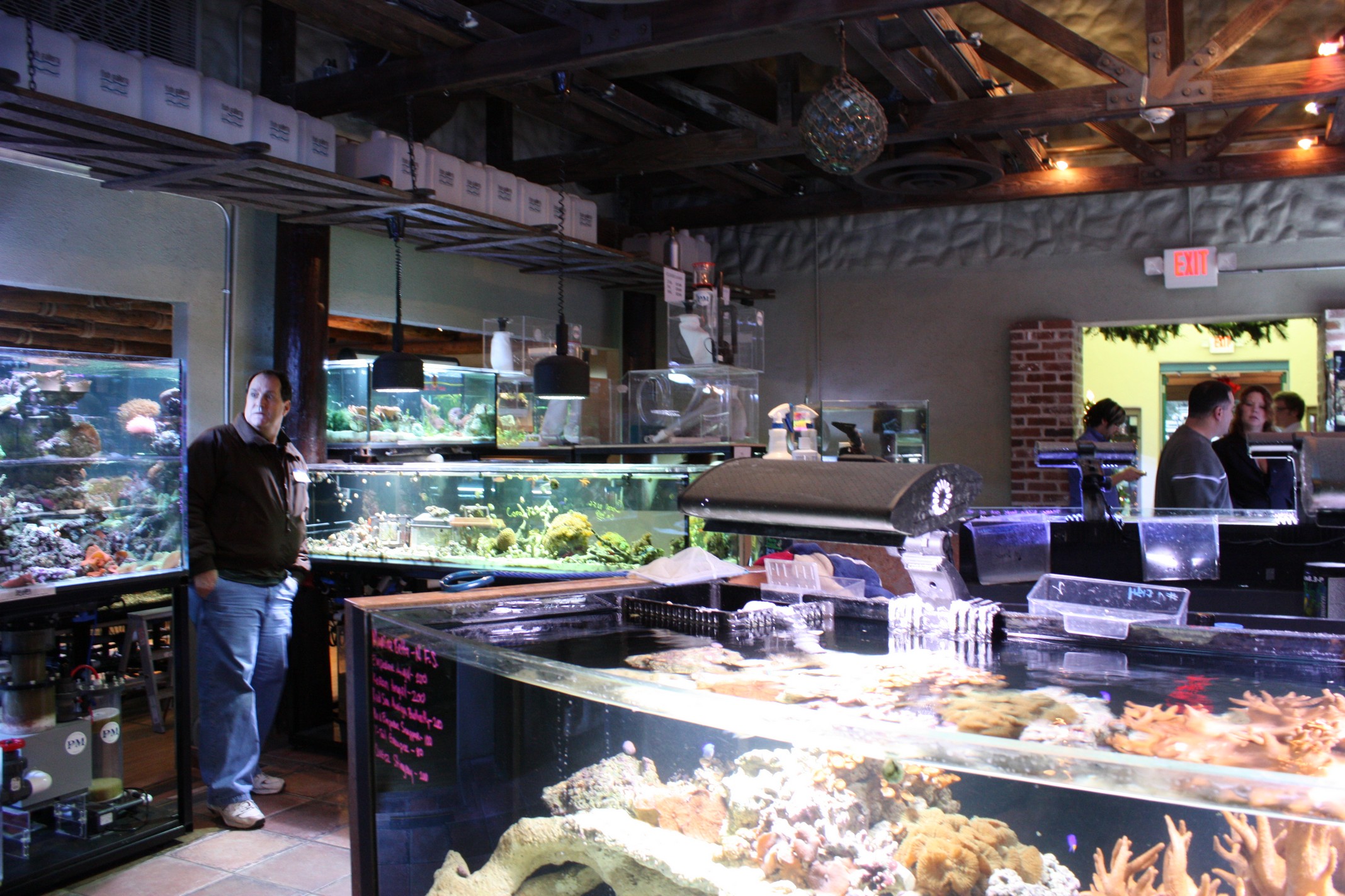 Fish Gallery Showroom