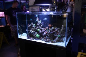 Oceanic Illuminata Rimless Reef Aquarium