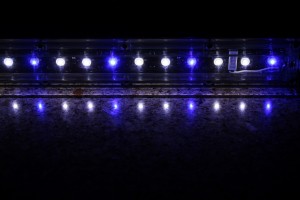 Panorama LED Module