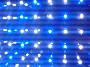 Blue Moon Aquatics LED Fixture Closeup