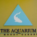 Moody Gardens Aquarium Exhibit