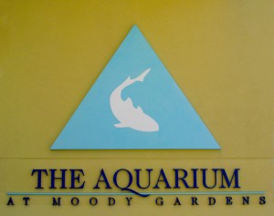 Moody Gardens Aquarium Exhibit