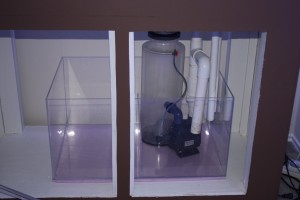Frag Tank Sump with Skimmer