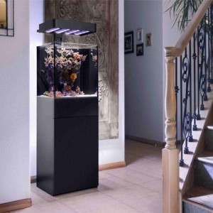Ecoxtic 25 Gallon LED Aquarium in a Home Setting