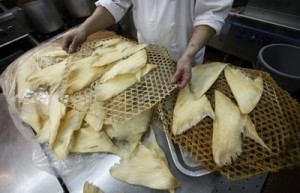 Dried Shark Fins