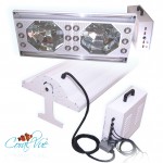 CoralVue Lumen Bright and LED Fixture