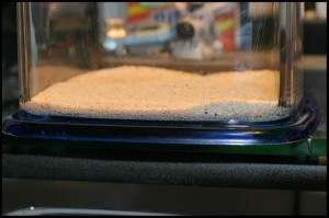 Faux Sandbed in Aquarium