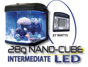 28g Nano Cube LED Intermediate