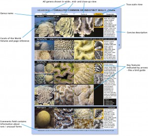 Coral Finder Demo Page