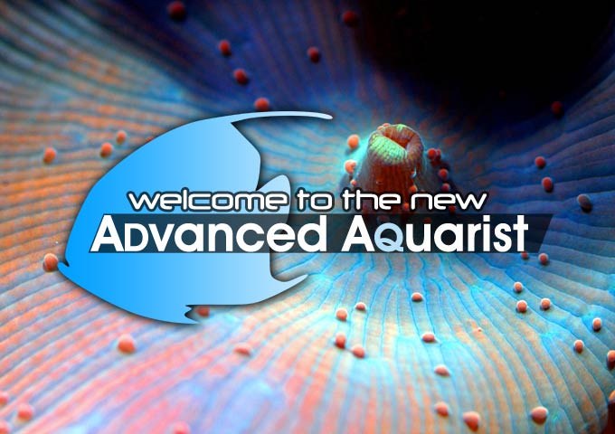The New Advanced Aquarist