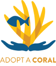 Adopt A Coral