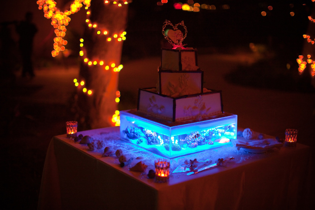 aquarium wedding cake