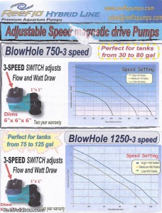 Reeflo Blowhole Chart