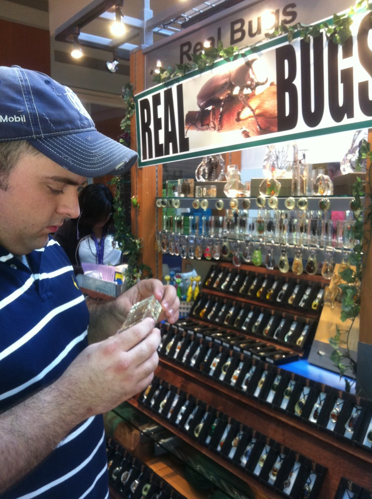 Brandon Klaus Examining Real Bugs