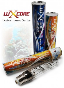 LuXcore Metal Halide Lamps