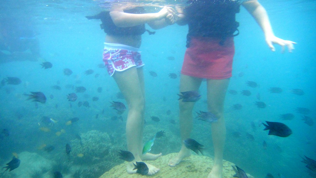 Snorkelers Standing on Coral