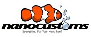 Nanocustoms Logo