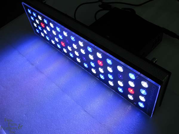 Orphek Nilus LED Light Fixture Black