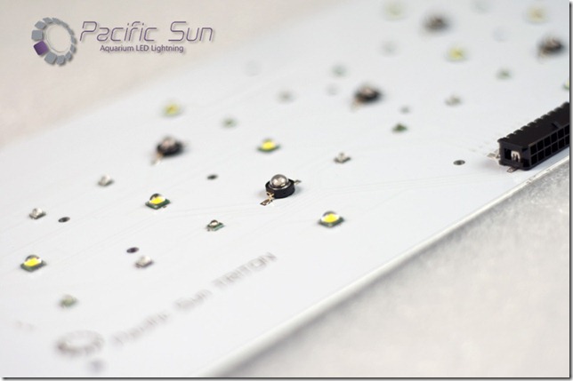 Pacific Sun Triton LED Fixture