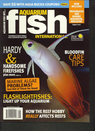 Fish Tank Care  Tropical Fish Hobbyist Magazine