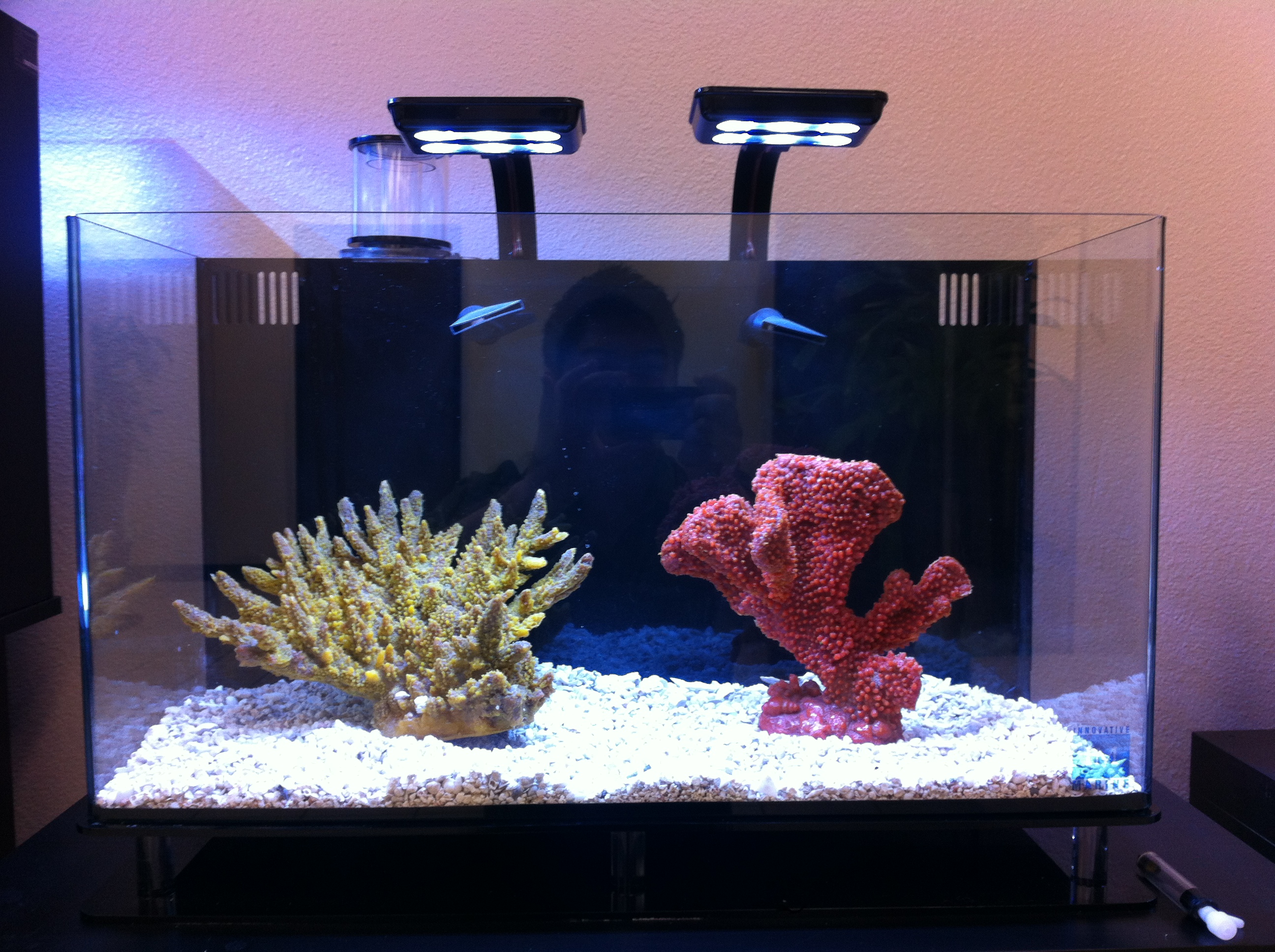 Custom, LED and Acrylic marine aquarium protein skimmer Aquariums 