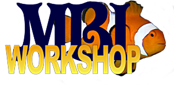 MBI Workshop Logo