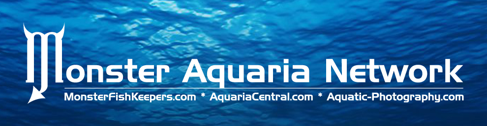 https://aquanerd.com/wp-content/uploads/2012/07/Monster-Aquaria-Network.jpg