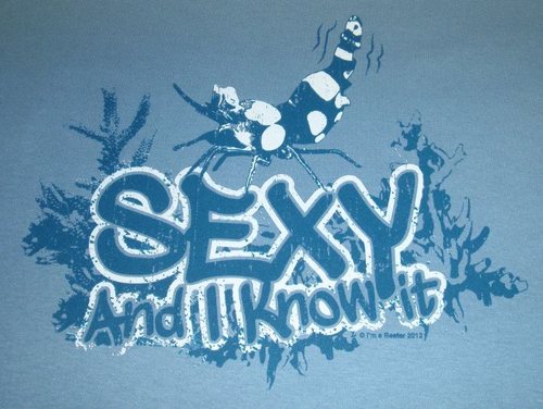 Sexy and I Know It T-shirt