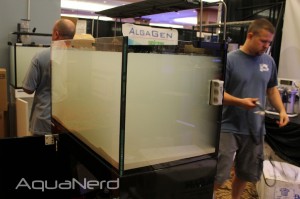 CoralVue Tank Being Set Up