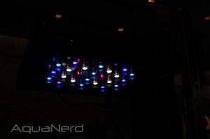 AquaticLife LED 3.0W Marine Colors