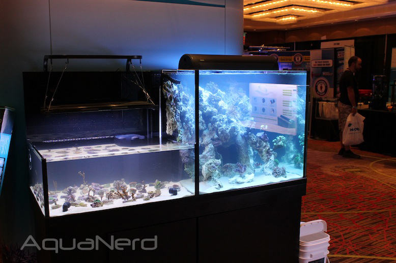 Sea level aquarium clearance store