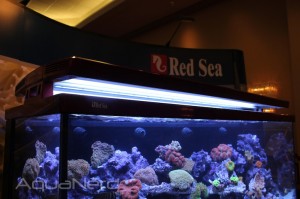 Red Sea Max S650 T5HO