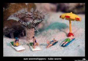 Leisure - Sun Wormshippers by Jason Isley