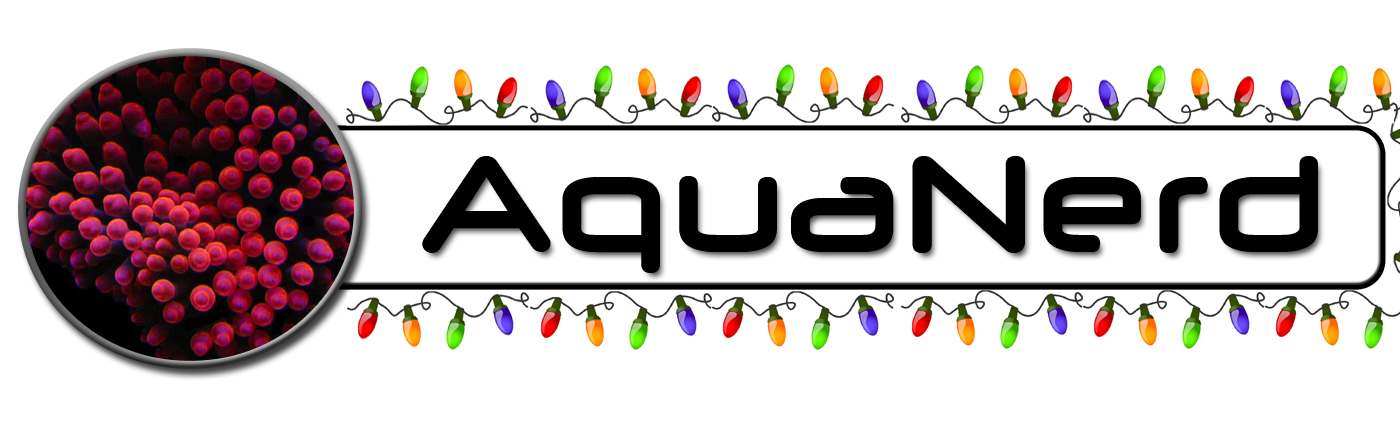 AquaNerd Christmas Logo