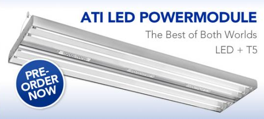 ATI LED Powermodule Pre-order