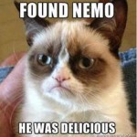 Grumpy Cat Eats Nemo