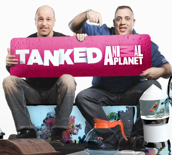 Tanked 2013