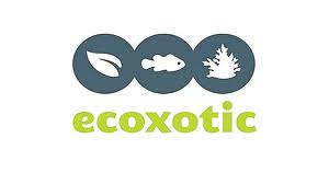 Ecoxotic Logo