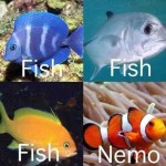How I See Fish Nemo