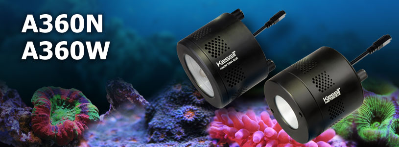 Kessil a360 tuna clearance blue