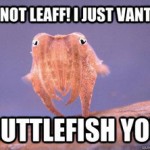 Cuttlefish You