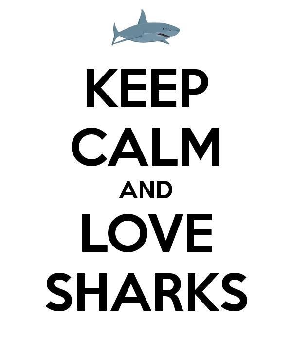 Keep Calm and Love Sharks