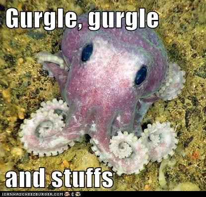 Octopus Gurgle Gurgle