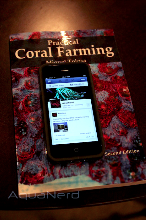 Practical Coral Farming Size Comparison