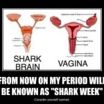 Shark Brain Vagina