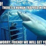 Shark Helping Trapped Human