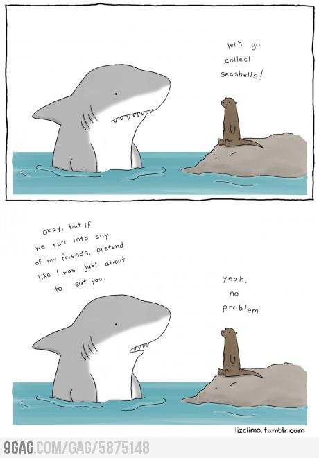 Shark and Seal Friends