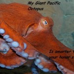 Smart Octopus