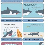 Things Sharks Are Bad At