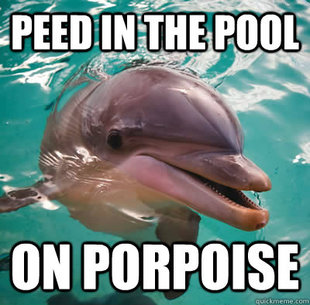 Dolphin Peed In Pool